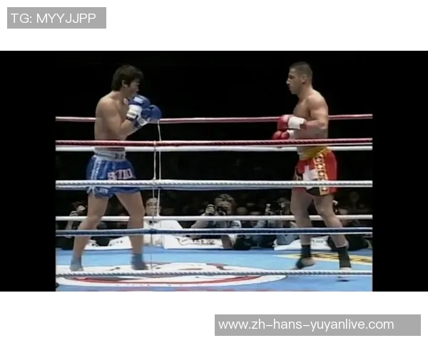 安迪哈格与彼得阿兹的巅峰对决谁将赢得荣耀与胜利的桂冠